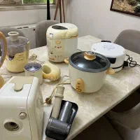 لوازم برقی اصل تفال