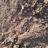 کود حیوانی دونسه|خدمات باغبانی و درختکاری|نجف‌آباد, گلدشت|دیوار