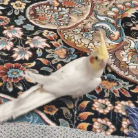 عروس هلندی مرواریدی و دوکت لوتینو ماده و لوتینو نر|پرنده|نی‌ریز, |دیوار