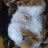 علیاف کاموا