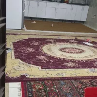 نیازبه-همخونه-یاهمخانه-خانم