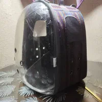 باکس کیف حمل حیوانات