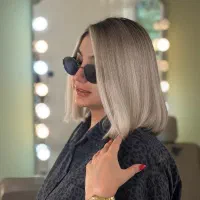 دستیار حرفه ای