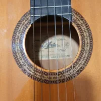 فروش گیتار اریا Ak20