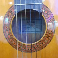 گیتار c70|گیتار، بیس، امپلیفایر|گلپایگان, |دیوار