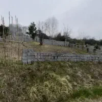 فرصتی طلایی برای ساخت ویلای رویایی‌تان