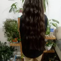 خریدار مو طبیعی ورنگ شده وحنا شده ۶۰سانت به بالا