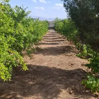 فروش  باغ ویلا کسکن|فروش خانه و ویلا|سبزوار, طبرسی (جعفرآباد)|دیوار