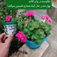 قرص کودگیاهی