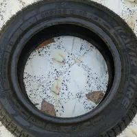 لاستیک پرایدکویر