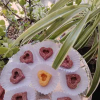 قند ونبات خاص مخصوص خاص پسندا|خوردنی و آشامیدنی|بردسیر, |دیوار