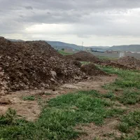 کود حیوانی|خدمات باغبانی و درختکاری|شاهین دژ, |دیوار