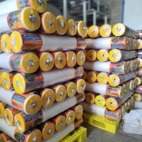 استخدام شرکت تولیدی