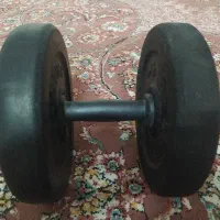 دمبل