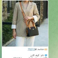 کفش وکیف