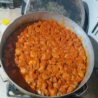 اشپز شهرستانی با حقوق مکفی