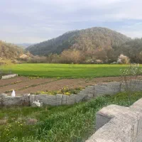 زمین ۲۰۰ متری بافت مسکونی درسوادکوه روستای امیرکلا