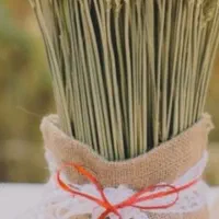 فروش خط خیلی رند