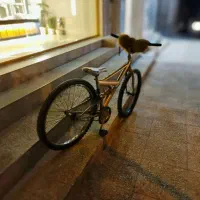 فوری|دوچرخه، اسکیت، اسکوتر|بانه, |دیوار