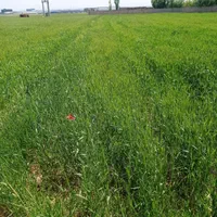 زمین ۶۰۰۰ متری