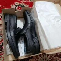 کفش چرم|کیف، کفش، کمربند|زابل, |دیوار