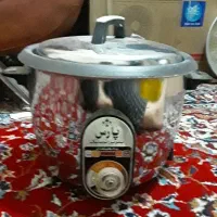 پلوپز پارس ۱۰نفره