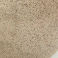 برنج طارم هاشمی گیلان