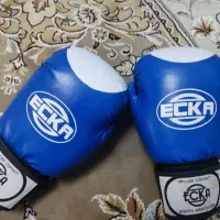 دستکش بوکس حرفه ای
