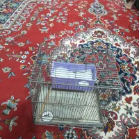 قفس غلامی مخصوص سیره