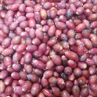 رطب و خرما درجه یک|خوردنی و آشامیدنی|اصفهان, ارغوانیه|دیوار
