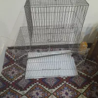 قفس سهره قناری عروس هلندی قفس