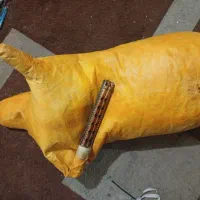 نی انبان محلی