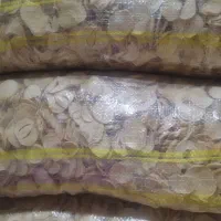 موسیر صدفی پلاک درجه ۱