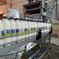 نمایندگی و پخش فروش مواد غذایی