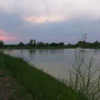 زمین-استخر-دامداری-بومگردی-گلخانه-اسب-دوانی
