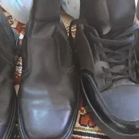 کفش مردانه|کیف، کفش، کمربند|مشکیندشت, |دیوار