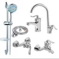 تنوع و کیفیت شیرآلات قاجاری