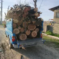 چوب و درخت باغی