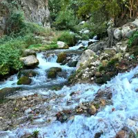 تور یک روزه شیوند تولد داریم 3 نفر تا تکمیل|تور و چارتر|شادگان, |دیوار