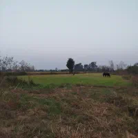 زمین-مسکونی-مساحت-230متر