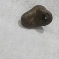 فسیل پر انرژی|جواهرات|جیرفت, |دیوار