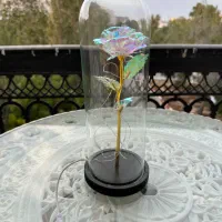 چراغ خواب گل رز