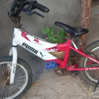 دوچرخه سایز۱۶|دوچرخه، اسکیت، اسکوتر|مشهد, رسالت|دیوار