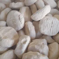 کشک گوسفندی تازه وتمیز|خوردنی و آشامیدنی|قم, خندق|دیوار