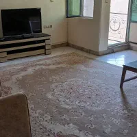 ۷۵ متری در هفت تیر