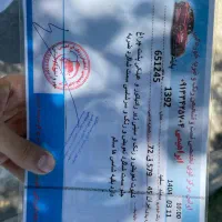 سمند Lx|خودرو سواری و وانت|کرمان, |دیوار