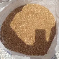 گندم کوهدشت مرغوب ..