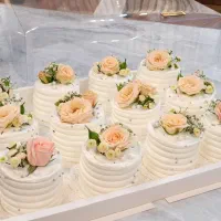 مینی کیک خواستگاری. کیک تولد. کاپ کیک