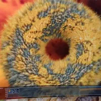 RTX 3090 24GIG GIGABYTE VISION|قطعات و لوازم جانبی رایانه|تهران, خانی‌آباد|دیوار