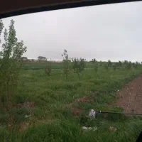 زمین مسکونی باغی زراعی دامی روستای گرجان